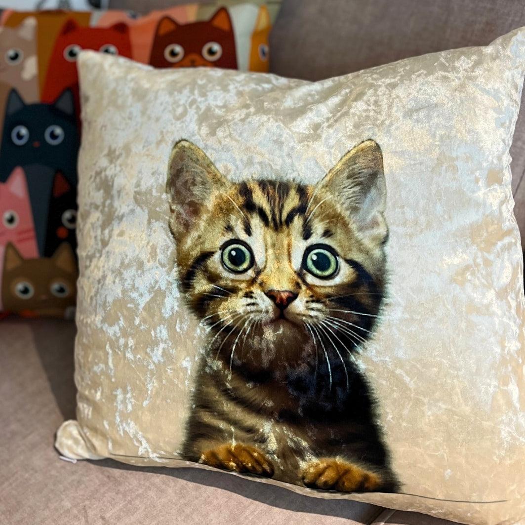 Cojín Gatito Chismoso - Tex Lovers Hub