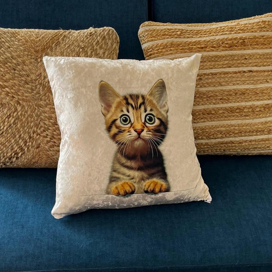 Cojín Gatito Chismoso - Tex Lovers Hub