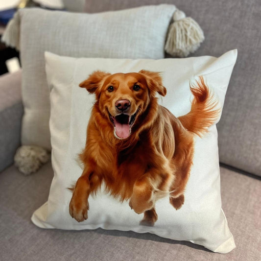 Cojín Alegria Perruna - Tex Lovers Hub